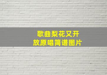 歌曲梨花又开放原唱简谱图片