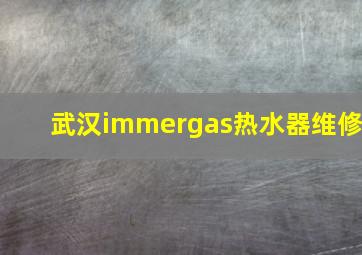 武汉immergas热水器维修