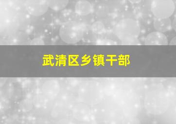 武清区乡镇干部