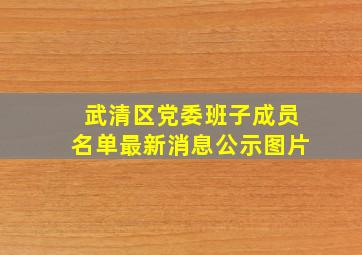 武清区党委班子成员名单最新消息公示图片