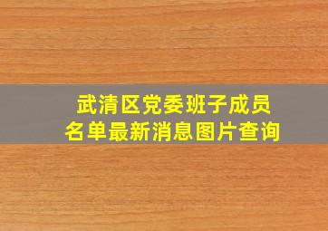 武清区党委班子成员名单最新消息图片查询