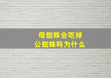 母蜘蛛会吃掉公蜘蛛吗为什么