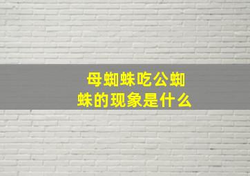 母蜘蛛吃公蜘蛛的现象是什么