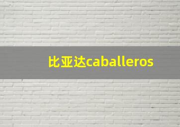 比亚达caballeros