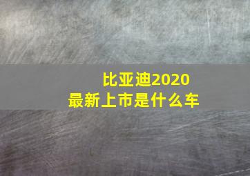 比亚迪2020最新上市是什么车