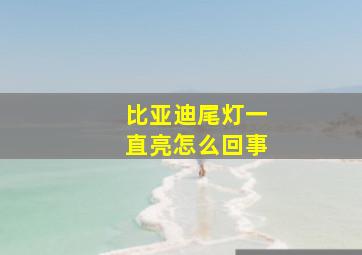 比亚迪尾灯一直亮怎么回事