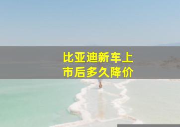 比亚迪新车上市后多久降价