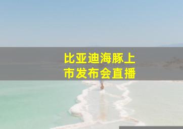 比亚迪海豚上市发布会直播