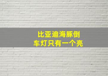 比亚迪海豚倒车灯只有一个亮