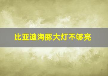 比亚迪海豚大灯不够亮