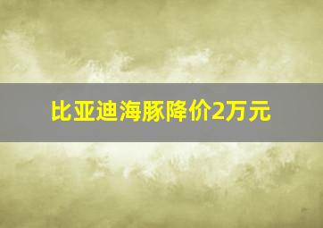 比亚迪海豚降价2万元