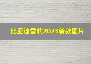 比亚迪雪豹2023新款图片