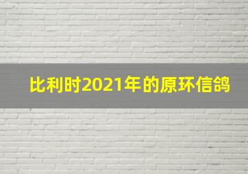 比利时2021年的原环信鸽