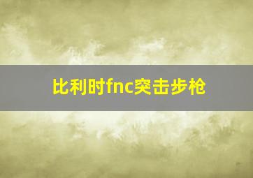 比利时fnc突击步枪