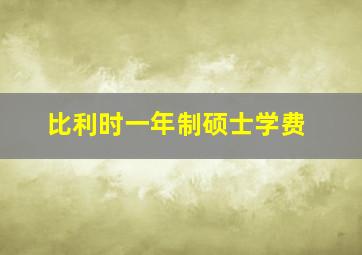 比利时一年制硕士学费