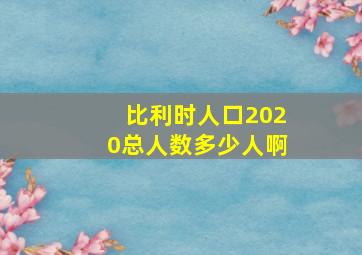 比利时人口2020总人数多少人啊