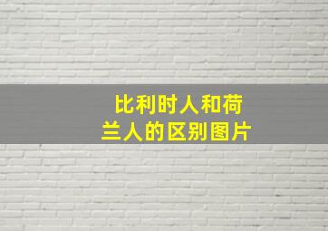 比利时人和荷兰人的区别图片