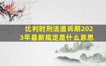 比利时刑法追诉期2023年最新规定是什么意思