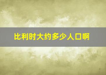 比利时大约多少人口啊