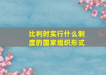 比利时实行什么制度的国家组织形式