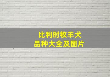 比利时牧羊犬品种大全及图片