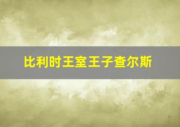 比利时王室王子查尔斯