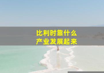 比利时靠什么产业发展起来