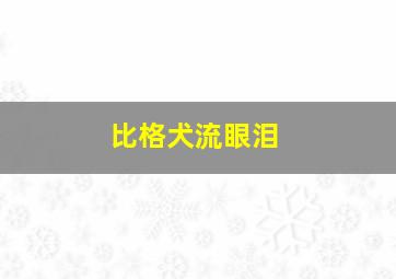 比格犬流眼泪