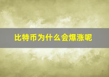 比特币为什么会爆涨呢