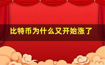 比特币为什么又开始涨了