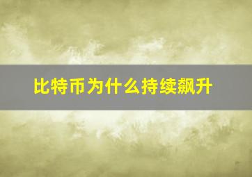 比特币为什么持续飙升