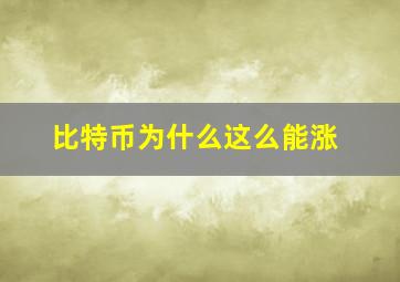 比特币为什么这么能涨