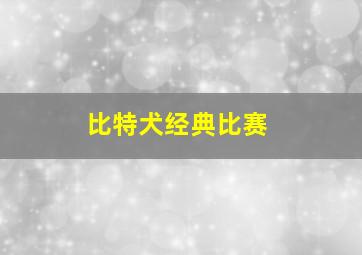 比特犬经典比赛