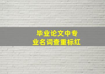 毕业论文中专业名词查重标红