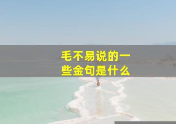 毛不易说的一些金句是什么