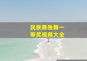 民族舞独舞一等奖视频大全