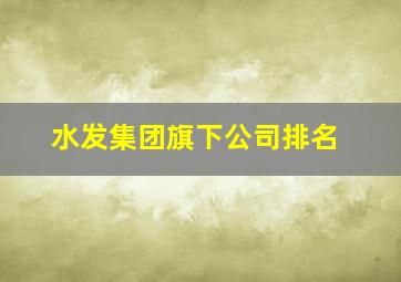 水发集团旗下公司排名