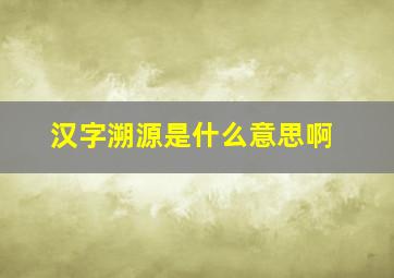 汉字溯源是什么意思啊