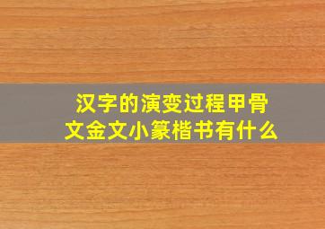 汉字的演变过程甲骨文金文小篆楷书有什么