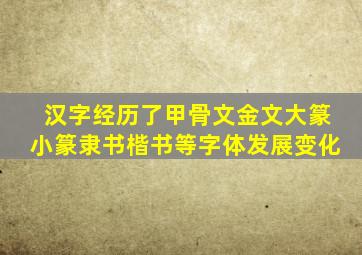 汉字经历了甲骨文金文大篆小篆隶书楷书等字体发展变化