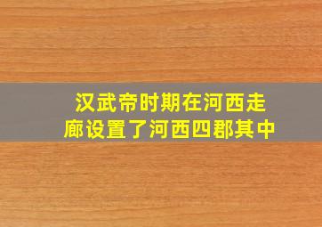 汉武帝时期在河西走廊设置了河西四郡其中