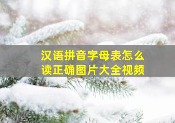 汉语拼音字母表怎么读正确图片大全视频