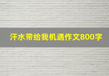 汗水带给我机遇作文800字