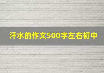 汗水的作文500字左右初中