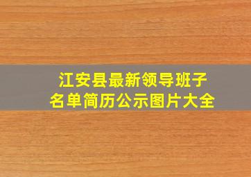 江安县最新领导班子名单简历公示图片大全