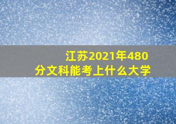 江苏2021年480分文科能考上什么大学