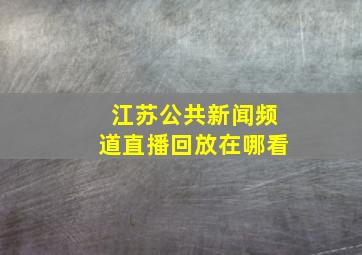 江苏公共新闻频道直播回放在哪看