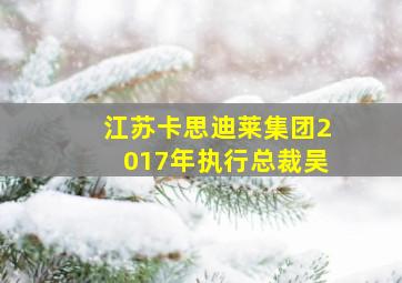 江苏卡思迪莱集团2017年执行总裁吴