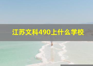 江苏文科490上什么学校