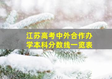 江苏高考中外合作办学本科分数线一览表